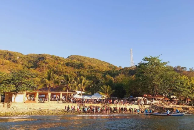 Whale Shark Watching site in Oslob Cebu- highlights of Oslob Whale Shark Watching.