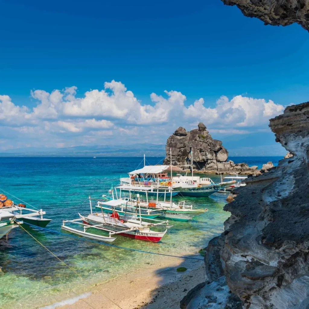 Apo Island snorkeling activity