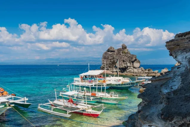 Apo Island snorkeling activity