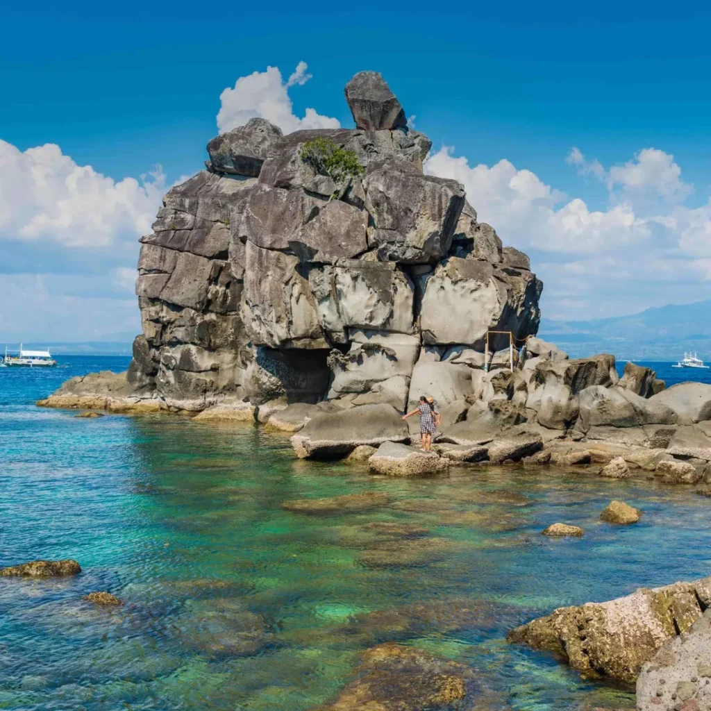Snorkeling with sea turtles in Apo Island marine sanctuary - highlights of Apo Island Day Tour