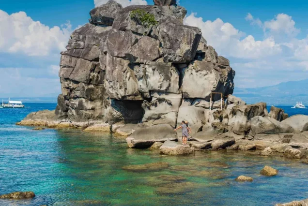 Snorkeling with sea turtles in Apo Island marine sanctuary - highlights of Apo Island Day Tour