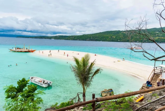 Sumilon Island with vibrant trees - highlights of Oslob Whale Shark & Sumilon Sandbar Tour