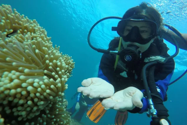 Scuba Diving - hightlight of Scuba Diving in Dauin, Negros Oriental Island.
