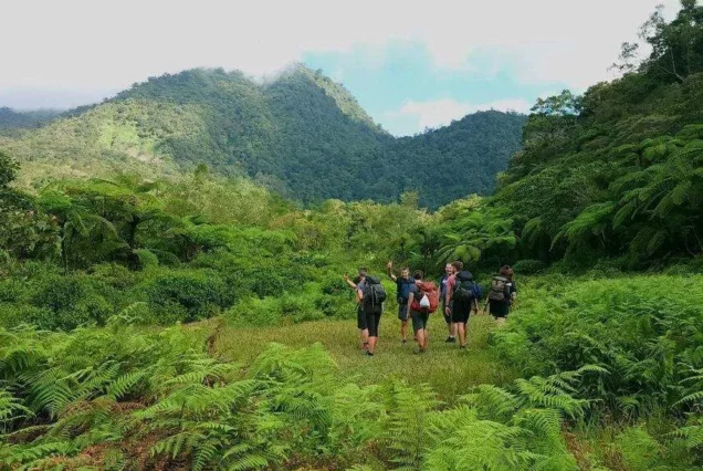 Group of people hiking in Mt. Talinis. highlights of Mt. Talinis Day Tour.