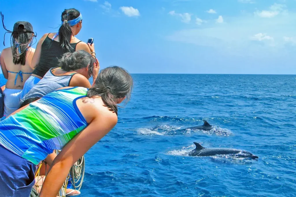 Tourists watching dolphins - highlights of Bais Dolphin Watching & Manjuyod Sandbar.