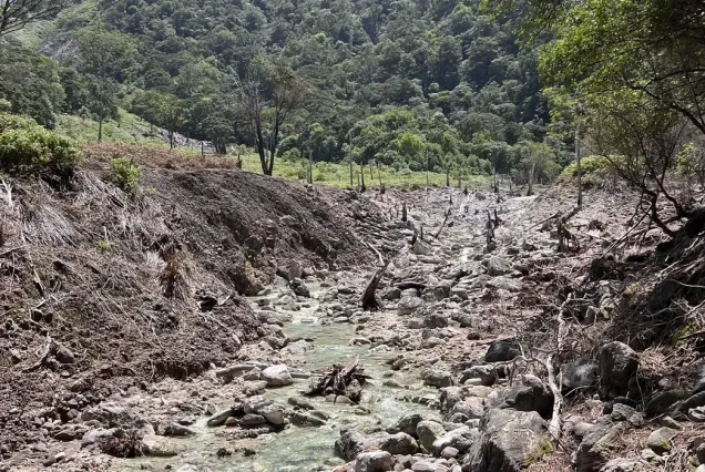 Mount Talinis going to Apolong Trail - highlights of Mt. Talinis Day Tour