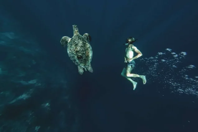 Snorkeling in Balicasag Island, Bohol, with clear turquoise waters, colorful coral reefs, and tropical marine life.