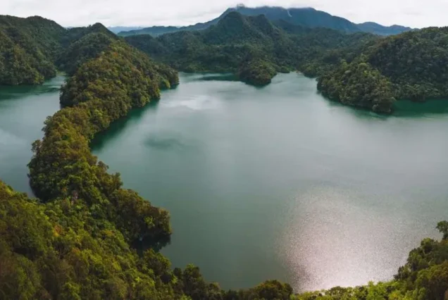 Twin Lakes Balinsasayao scenic view amid forested hills