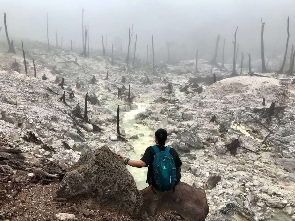 Kaipohan Sulfur Vents