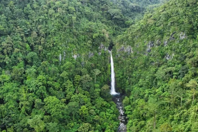 Malatandog Falls in Don Salvador Benedicto, Negros Occidental, surrounded by lush greenery and natural rock formations.