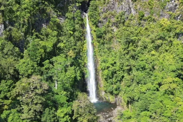 Malatandog Falls in Don Salvador Benedicto, Negros Occidental, surrounded by lush greenery and natural rock formations.