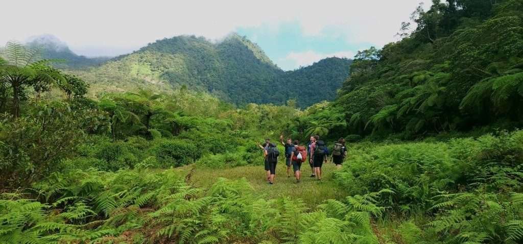Group of people hiking in Mt. Talinis. highlights of Mt. Talinis Day Tour.