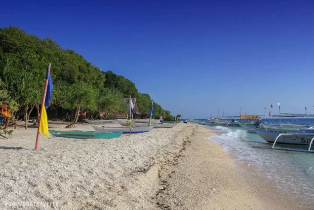 Balicasag Island in Bohol surrounded by clear turquoise waters and lush tropical scenery.