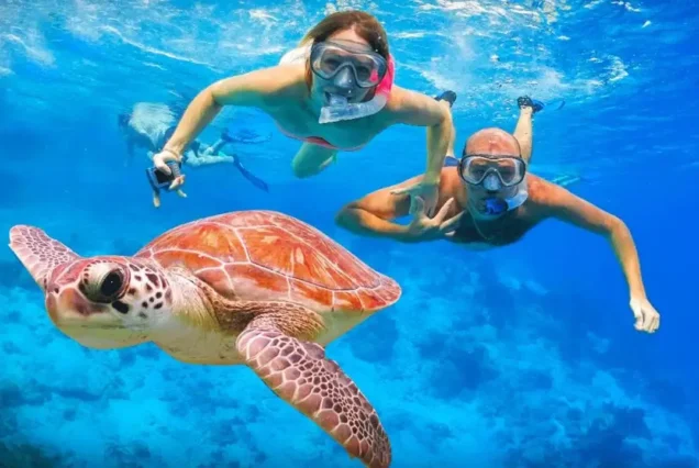 Snorkeling in Balicasag Island, Bohol, with clear turquoise waters, colorful coral reefs, and tropical marine life.