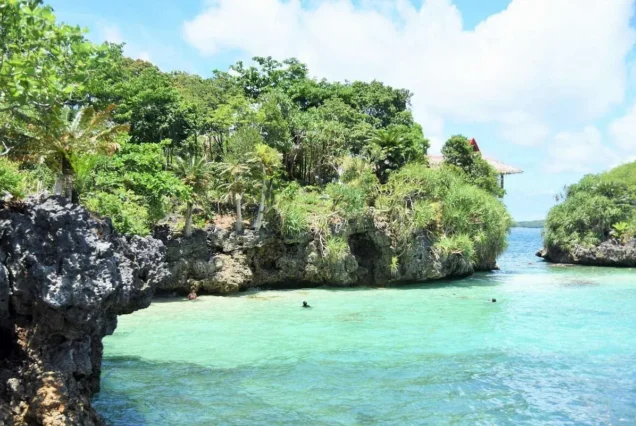 Natago Beach in Guimaras, featuring a secluded tropical shoreline surrounded by lush greenery and clear blue waters.