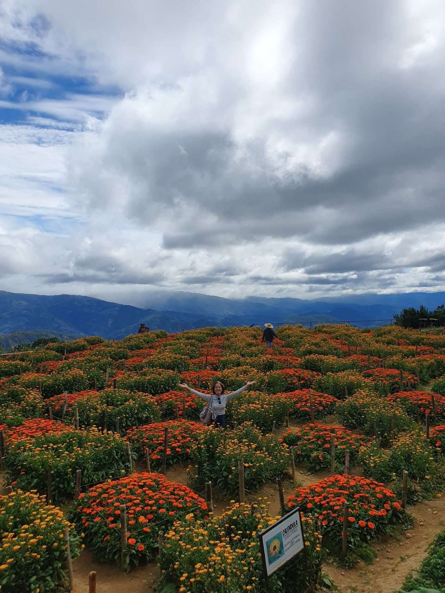 Atok Benguet Gardens Day Tour – Flower Fields & Mountain Views
