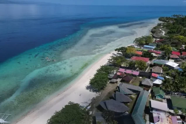 Pamilacan Island in Bohol featuring a white-sand beach, clear blue waters, and tropical island scenery.