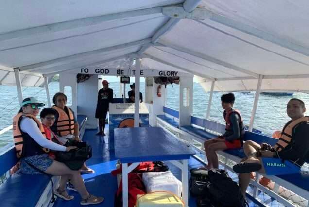 Bais Dolphin and Manjuyod Sandbar: Private Boat Rental