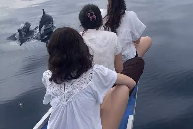 Bais Boat Rental