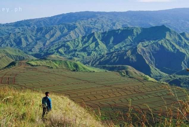 Bukidnon Impasugong Lovers Lane